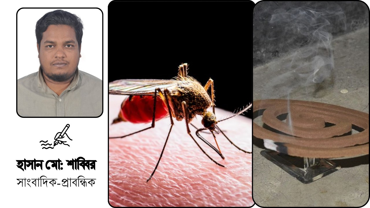 মশার কামড় না কয়েলের বিষ: সাধারণ মানুষের প্রাণ ভোমরা এখন কার হাতে?